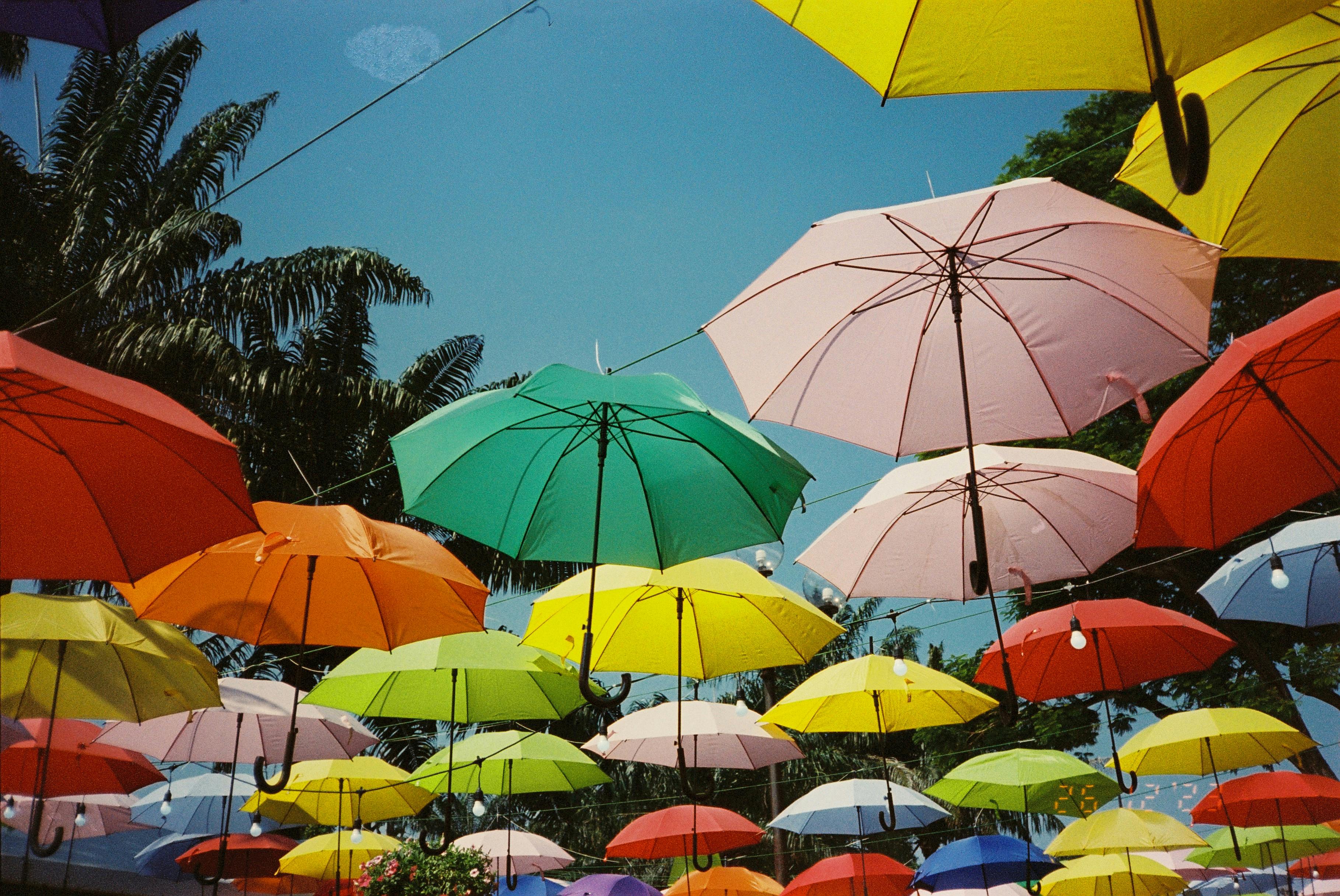 Colorful umbrellas suspended against a clear blue sky, interspersed with palm tree tops, creating a cheerful and tropical canopy